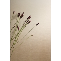 SPECTRA - 20X47, HORIZON, MATTE