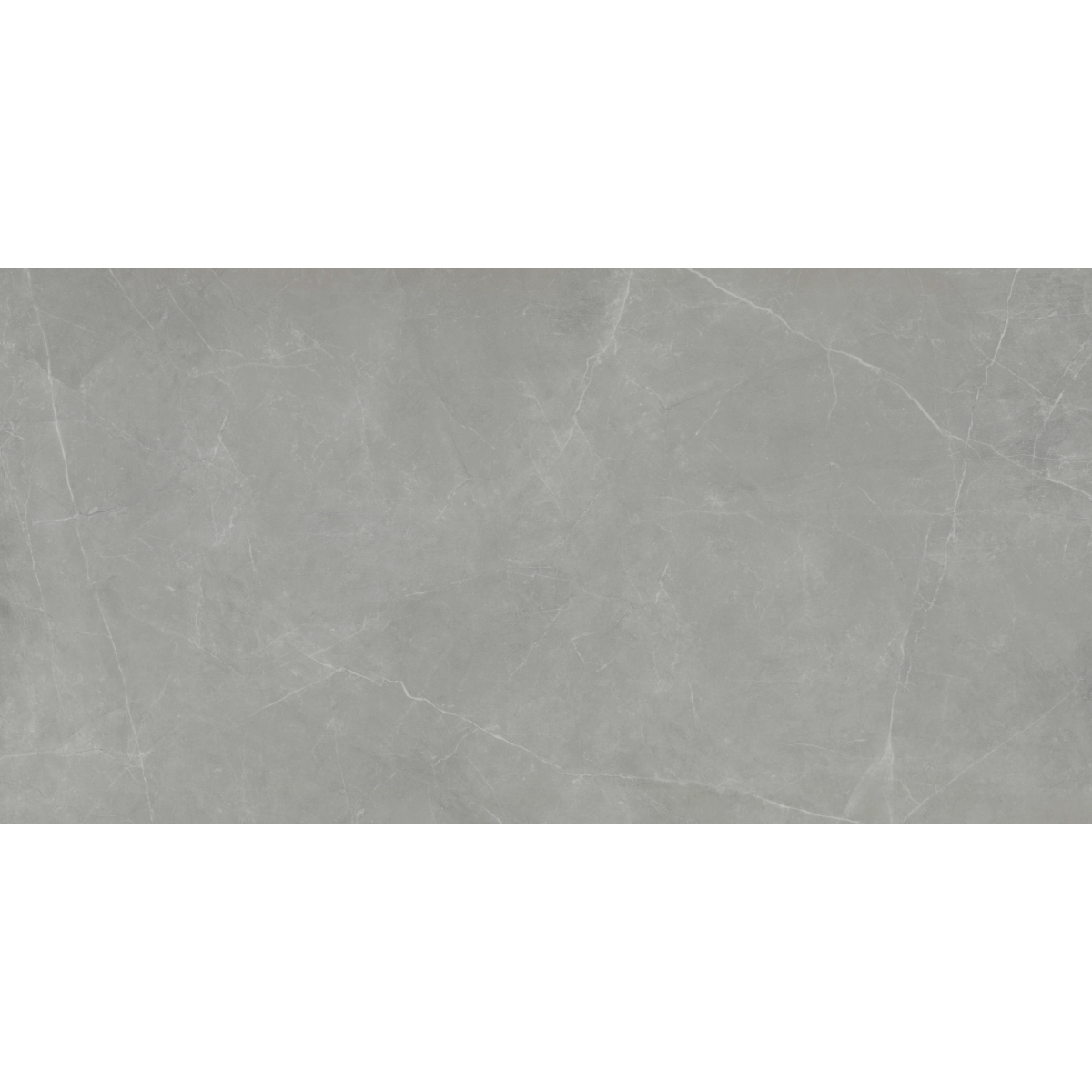 sterlina_gray_f13stergr2447p_s