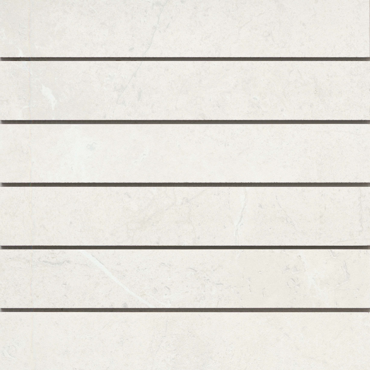 TERRAMOR - 2X12/12X12, BIANCO, HONED | Emser Tile