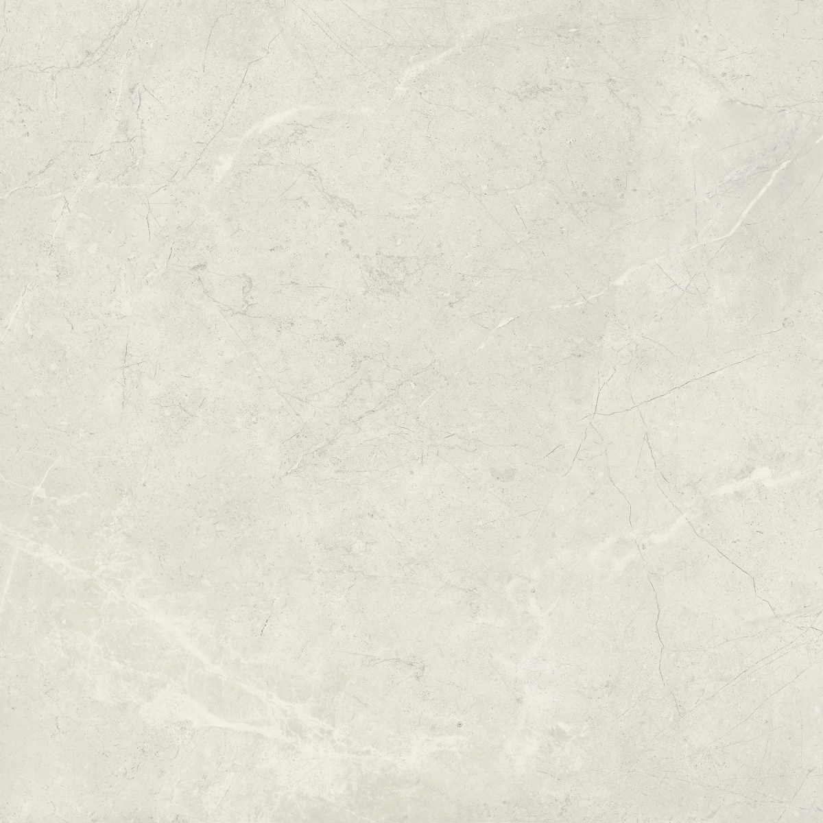 TERRAMOR - 47X47, BIANCO, HONED | Emser Tile