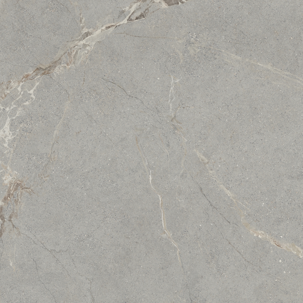 TERRAMOR - 47X47, GRIGIO, HONED | Emser Tile