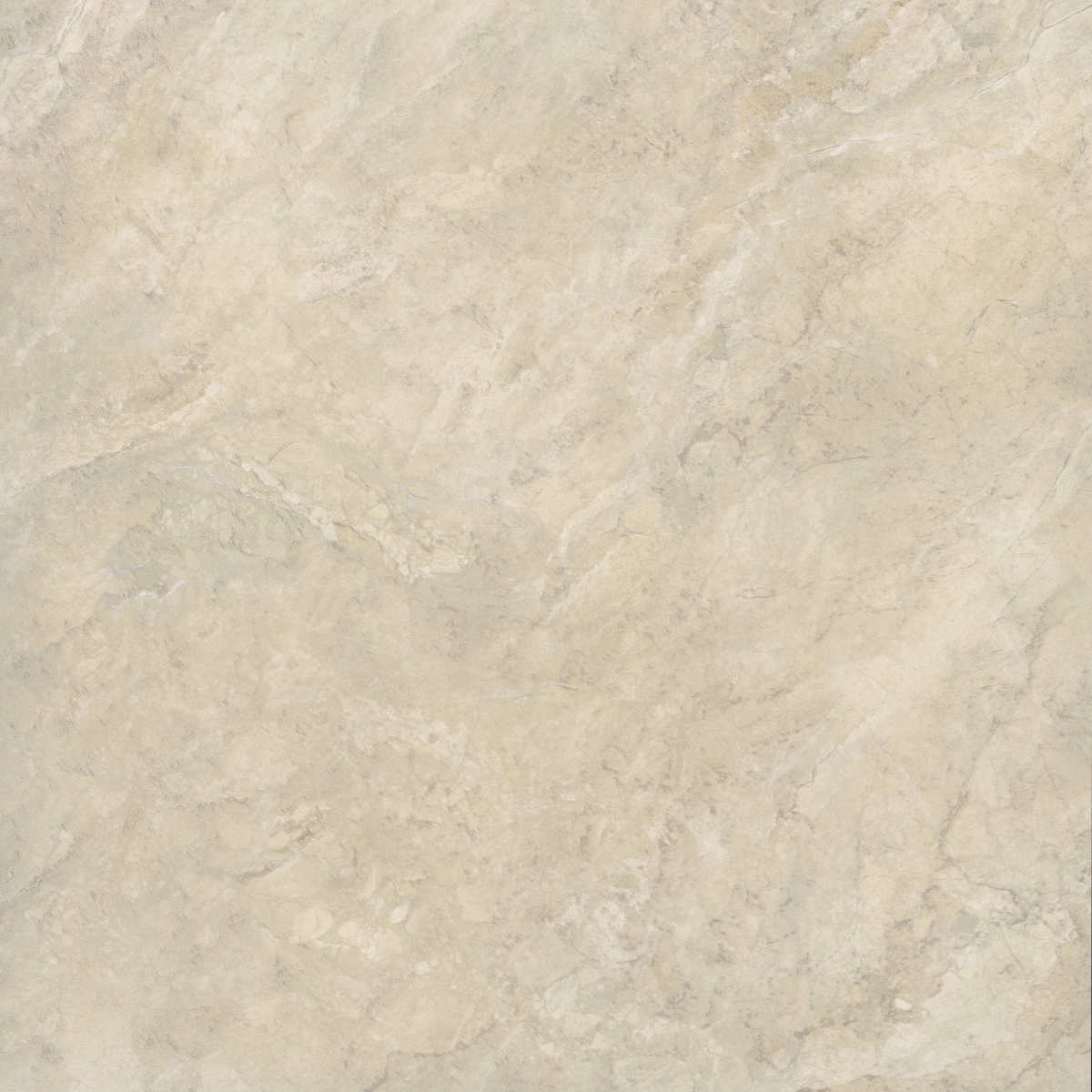 TERRAMOR - 47X47, AVORIO, HONED | Emser Tile
