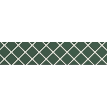 VECTORA - 2X11, GREEN, GLOSSY
