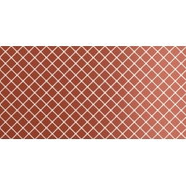 VECTORA - 12X24, RUBY, GLOSSY