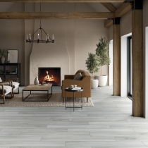 VICTUS - 8X47, GRAY, MATTE