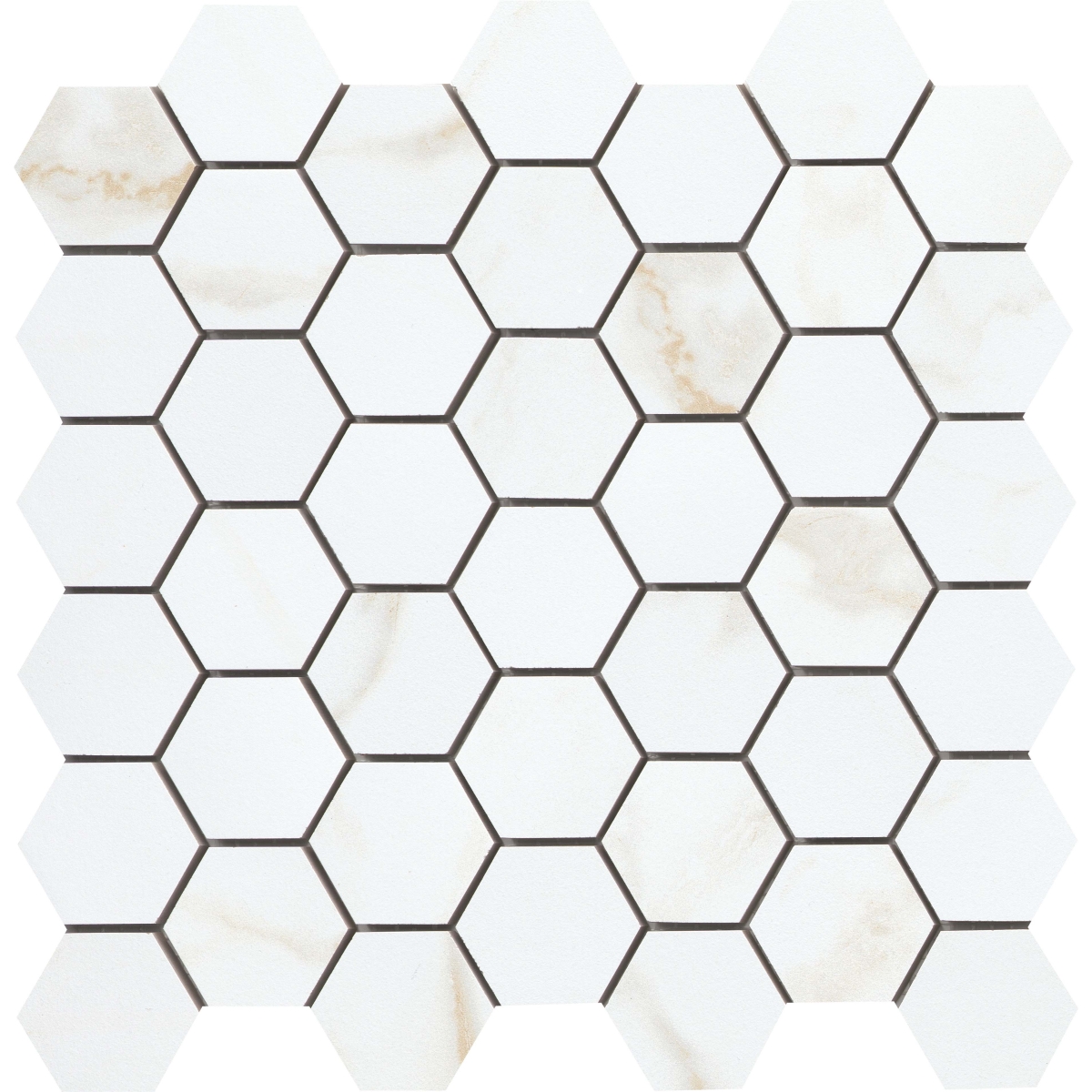 Visconde Matte 2in Hexagon Mosaic