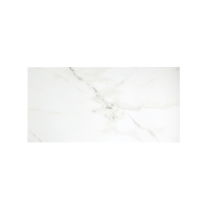 VISCONDE - 12X24, SILVER, POLISHED