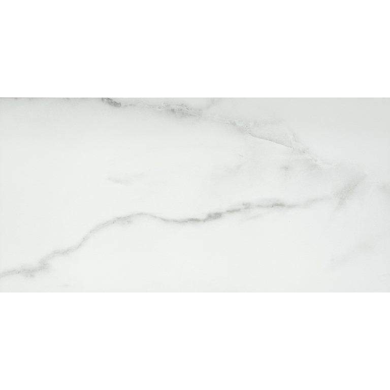 VISCONDE - 12X24, SILVER, MATTE