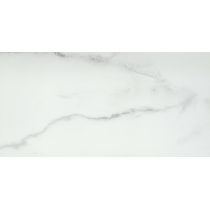 VISCONDE - 12X24, SILVER, POLISHED