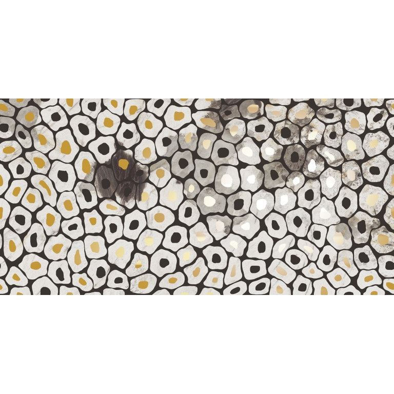 ZAMBIA - 24X47, JAG, GLOSSY