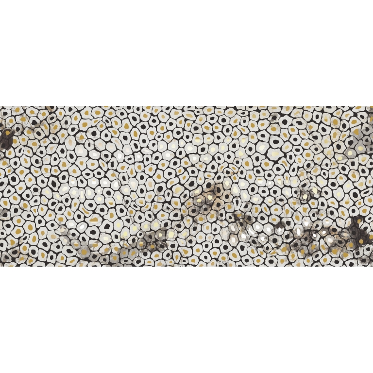 ZAMBIA - 47X109, JAG, GLOSSY