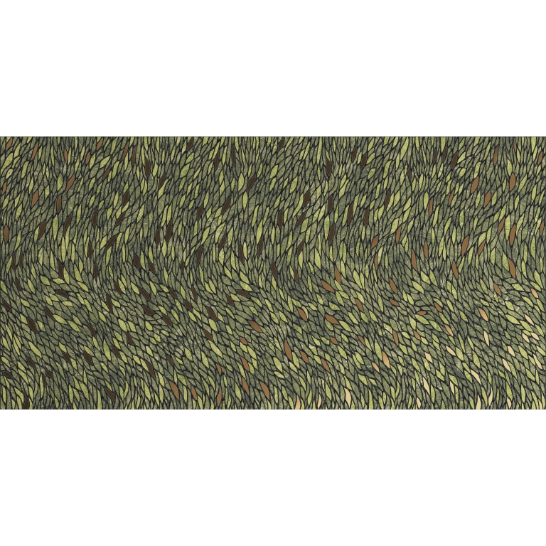 ZAMBIA - 24X47, PARROT, GLOSSY