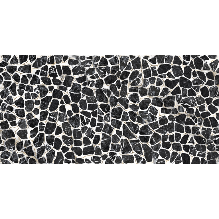 ZAMBIA - 24X47, TURTLE, GLOSSY