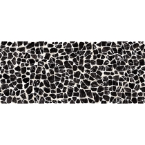 ZAMBIA - 47X109, TURTLE, GLOSSY